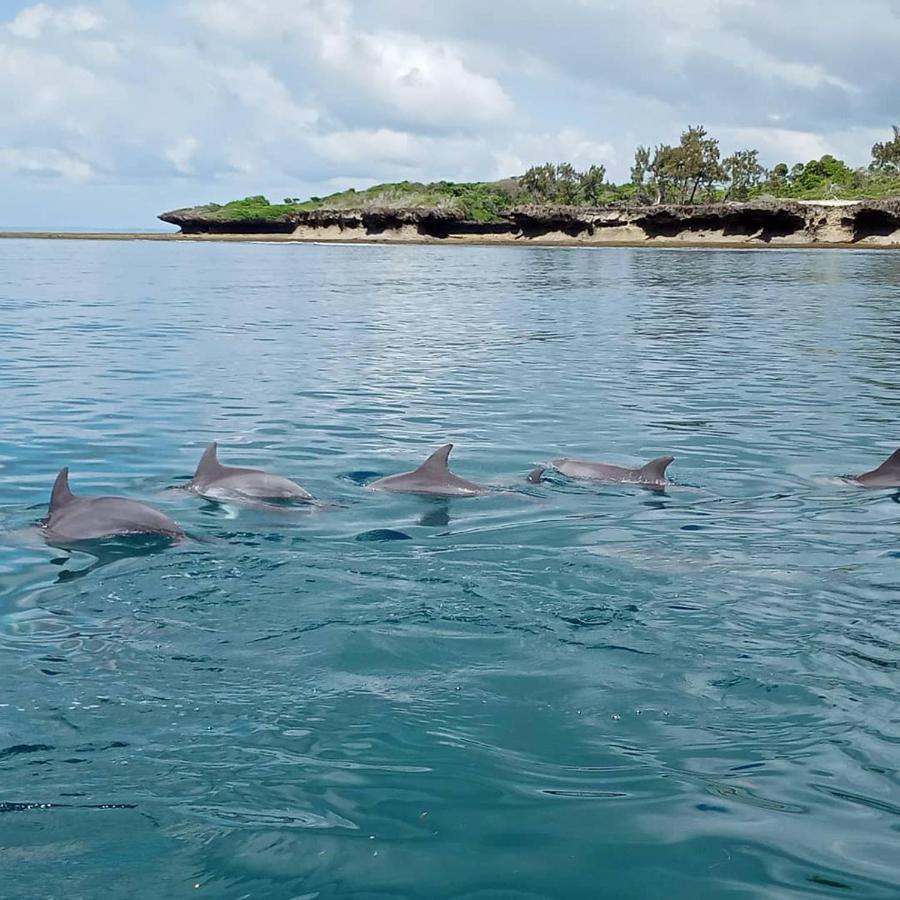 Wasini Raha Snorkeling And Diving Apartment ภายนอก รูปภาพ