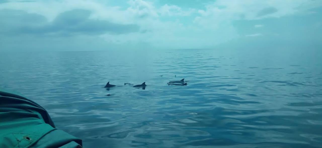 Wasini Raha Snorkeling And Diving Apartment ภายนอก รูปภาพ